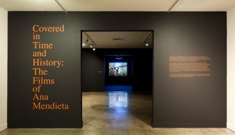 Ana Mendieta, NSU Art Museum