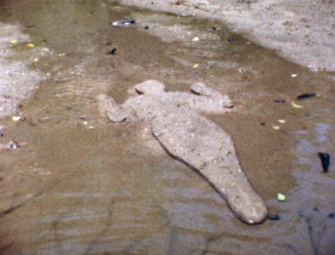 Ana Mendieta Silueta de Arena, 1978 Super-8mm film transferred to high-definition digital media, color, silent Running time: 1:33 minutes Edition 2 of 8 with 3 AP (#2/8) (GP1930)