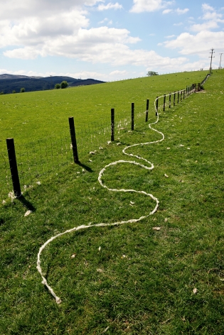 Andy Goldsworthy Barbed wire wool Dumfriesshire, Scotland 29 May 2018, 2018 Unique archival inkjet print 35.4 x 23.6 inches (90 x 60 cm) Framed: 35.9 x 24 x 1.5 inches (91.2 x 61 x 3.8 cm) GL14179