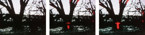 Ana Mendieta  Energy Charge, 1975  16mm film transferred to high-definition digital media, color, silent  Running time: 49 seconds  Edition of 8 with 3 APs