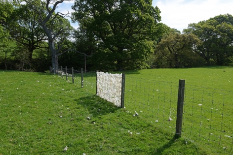 Andy Goldsworthy Sheep fence / Dumfriesshire, Scotland / 25 May 2018, 2018 Unique archival inkjet print 20.9 x 31.5 inches (53 x 80 cm) Framed: 21.4 x 32.8 x 1.5 inches (54.4 x 83.3 x 3.8 cm) (GL14180)