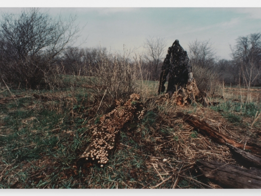 Ana Mendieta  Untitled: Silueta Series, Iowa, 1976-78 / 1991  From Silueta Works in Iowa, 1976-1978  Color photograph  16 x 20 inches (40.6 x 50.8 cm)  Edition of 20 with 4 APs